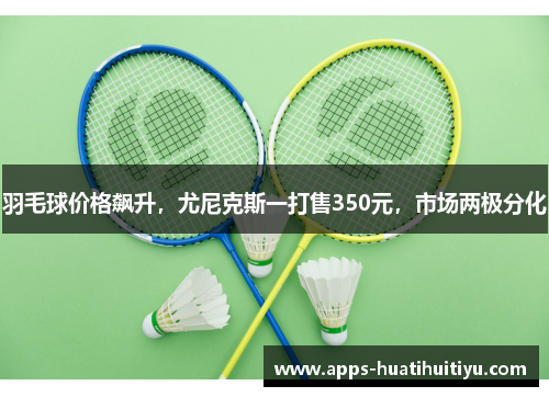 羽毛球价格飙升，尤尼克斯一打售350元，市场两极分化