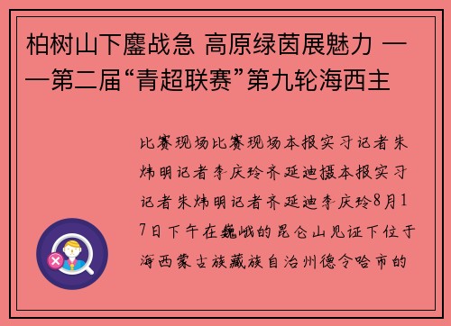 柏树山下鏖战急 高原绿茵展魅力 ——第二届“青超联赛”第九轮海西主场见闻